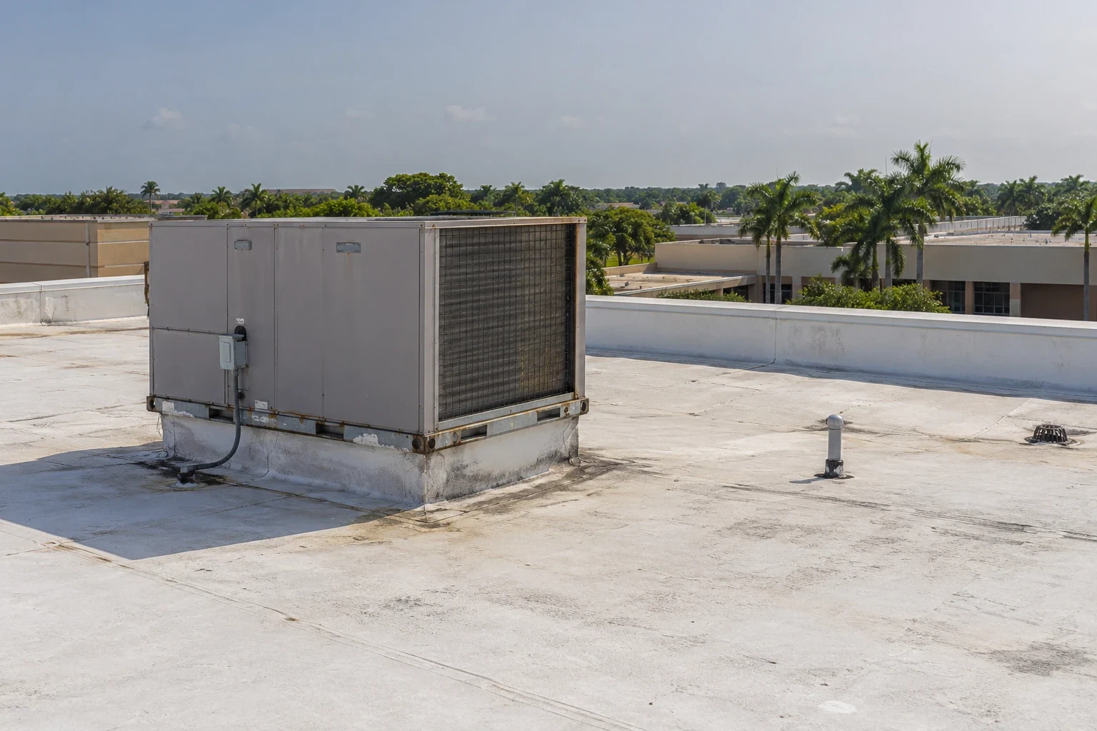 School roofing