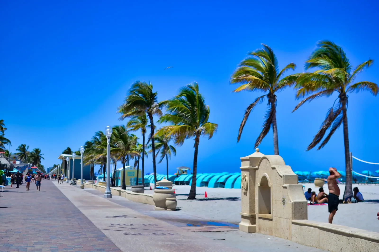 Commercial Roofing in Downtown Hollywood, FL